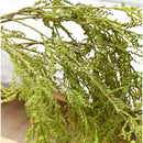 Planta Colgante Artificiales Silvestre Kaong Fruta De Palma Verde