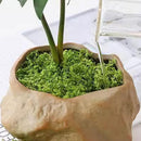 Musgo Artesanal Falso Musgo Verde, Artificial Plantas