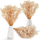 Flores Ramas Secas Natural Decorativa, Gypsophila Frondosa
