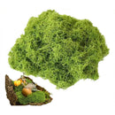 Pack 5 Musgo Artesanal Falso Musgo Verde, Artificial Plantas