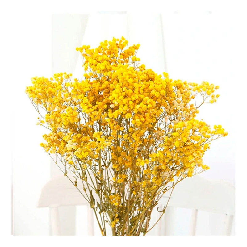 Flores Ramas Secas Naturales Decorativa, Gypsophila Frondosa