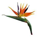 Flor De Ave Del Paraíso Artificial Flor De Pajaro Ave Verde