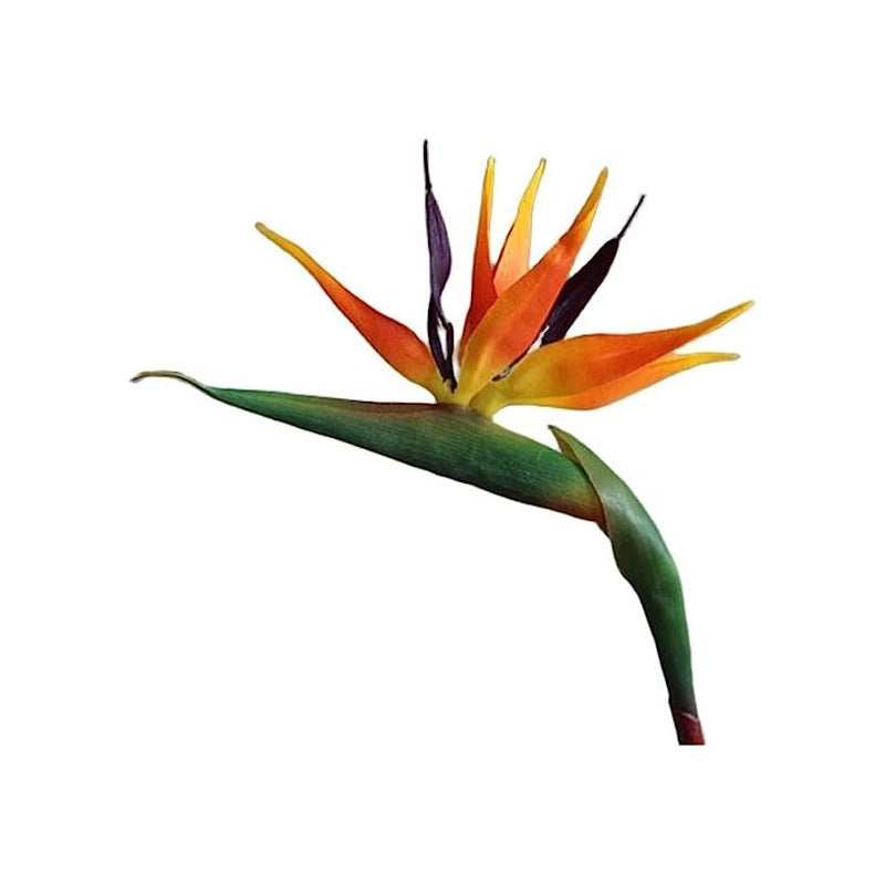 Flor De Ave Del Paraíso Artificial Flor De Pajaro Ave