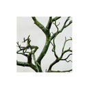 Ramas De Arbol Rama De Coral Seca Artificial Tallo Largo