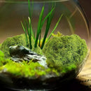 Musgo Artesanal Falso Musgo Verde, Artificial Plantas