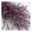 Flores Secas Ramo De Limonium Preservadas Reales Secas Grand