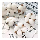 Tallos De Algodón Seco Flores Decorativas Cotton Blanco Deco