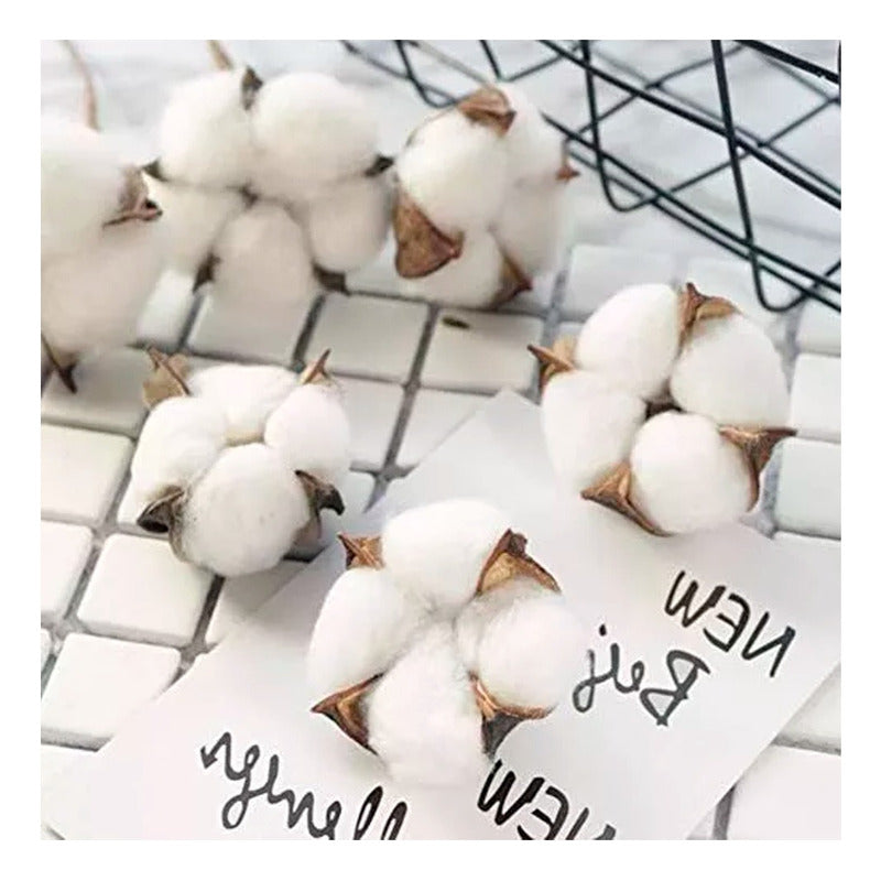 Tallos De Algodón Seco Flores Decorativas Cotton Blanco