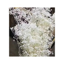Flores Secas Blancas Aliento De Bebe Ilusiones Gypsophila Blanco