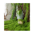 Pack 5 Musgo Artesanal Falso Musgo Verde, Artificial Plantas