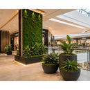 Musgo Decorativo Natural 1x1m Panel Vegetal Para Jardines Verticales Muros Verdes Decoración Interior Cuadros Vegetales Paisajismo Hogar Oficina Fácil Instalación Bajo Mantenimiento