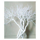 Ramas De Arbol Rama De Coral Seca Artificial Tallo Largo
