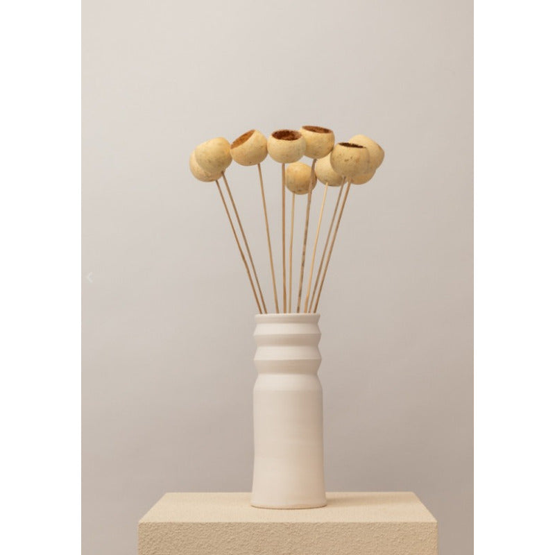 Bell Cup Flor Ornamental Decoracion Boho Flores Campana Seca