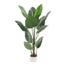 Palma De Viajero Planta Artificial Decoracion Interior Gde Verde Oscuro