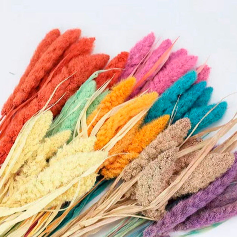 Ramas Secas Oreja De Trigo Preservada Decoración Hogar