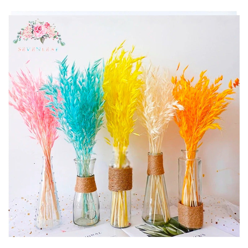 Ramo Seco De Espigas  Avena / Plumeta Cristina Decoración