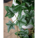 Helecho Colgante Flor Artificial Vara Frondosa 110cm Hiedra Verde Musgo