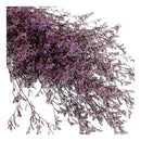 Flores Secas Ramo De Limonium Preservadas Reales Secas Grand