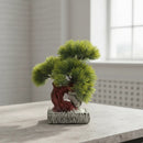 Árbol Bonsai, Planta En Maceta, Centro De Mesa Decoracion Verde
