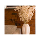 Lunaria Flores Secas Naturales Lunaria Flores Interior Blanco