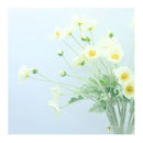 Amapolas Flores Artificiales Textura Realista Anemonas