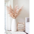 5 Piezas Rama De Pampas Grass Vara Grande Decoracion  Pack 5 Beige
