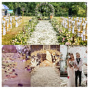 1000 Pétalos Artificiales De Rosas Boda De San Valentín Amor
