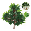 Pack De 12 Hojas Ramas Artificial Verde Follaje Ficus Arbol Verde
