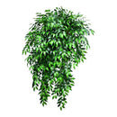 Rama Follaje De Hojas Laurel Colgante Artificial Frondosa Verde