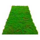 Musgo Artificial 50x50 Plantas Alfombra De Musgo Sintético