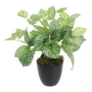 Flores Caladium Artificiales Decoración Planta Artificial Verde