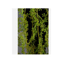 Planta Colgante Artificiales Silvestre Kaong Fruta De Palma Verde