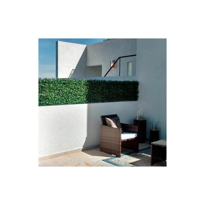 Malla Treboles Vallas Cercas Pasto Planta Enredadera Hojas