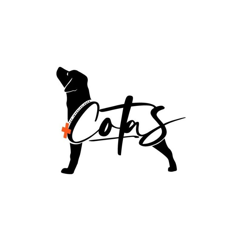 30 Unidades Pañales Tipo Sabanillas Mascotas Perros 33*45 Cm