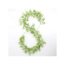 Enredaderas Ilusiones Gypsophila Paniculata 180mt Aliento Bb