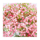 Flores Gypsophila Para Arreglos Artificiales Flor Para Deco