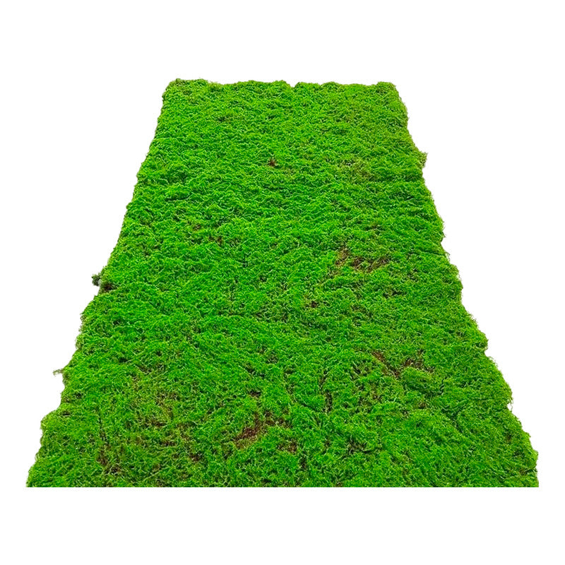 Musgo Artificial De Plantas Verde Musgo Sintético 1mt X 1mt