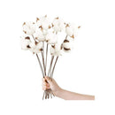 Pack 10 Tallos Algodón Seco Flores Decorativas Cotton Blanco Blanco