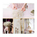 Flores Secas Aliento De Bebe Ilusiones Gypsophila Arreglos Blanco