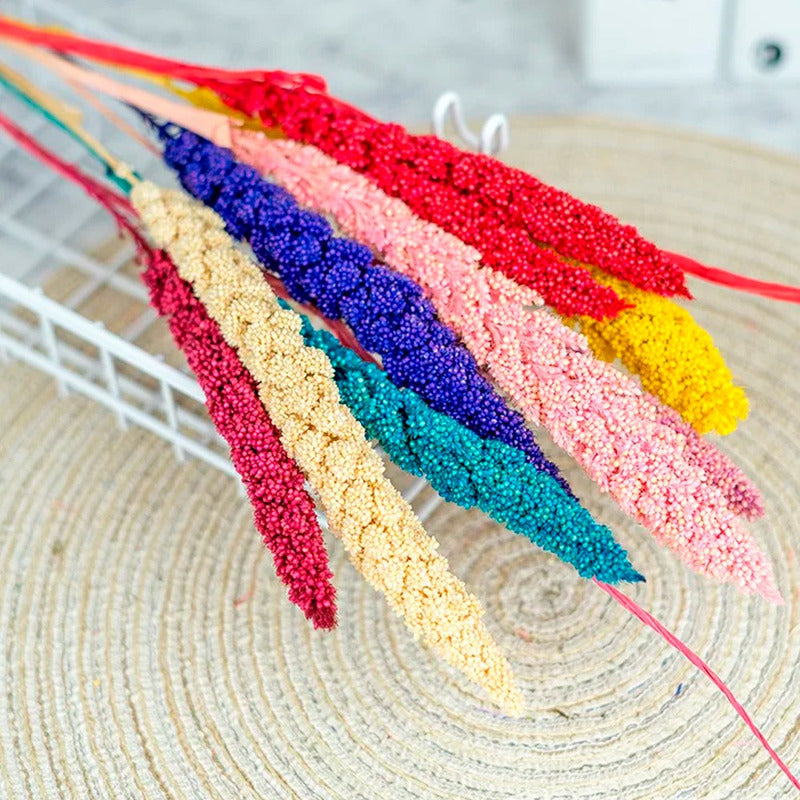 Ramas Secas Oreja De Trigo Preservada Decoración Hogar