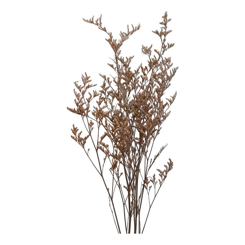 Flores Secas Limonium Natural Preservado De Color