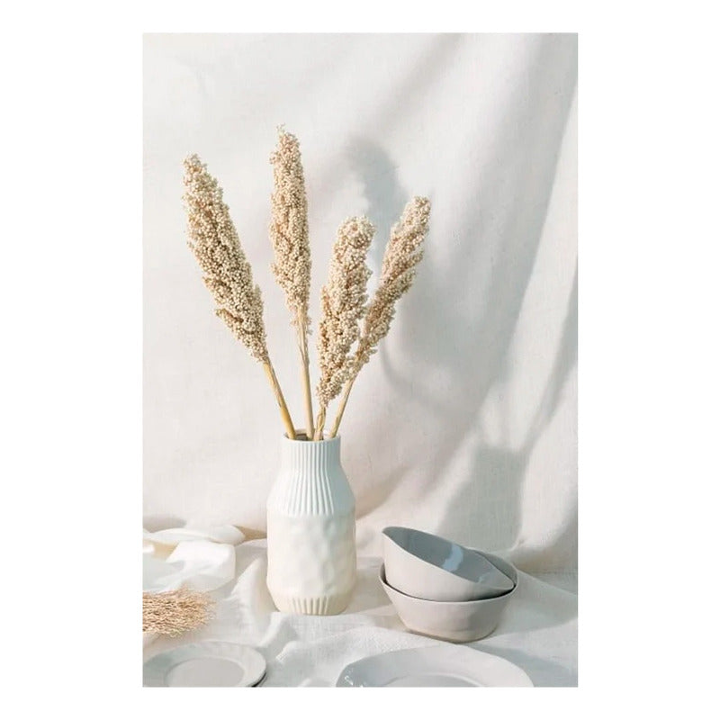 Flor De Sorgo Seca Preservada Decoración Hogar
