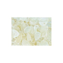 Lunaria Flores Secas Naturales Lunaria Flores Interior Blanco