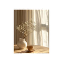 Ramas Secas Artificial Baby Breath Ilusiones Nube De Bebe Blanco