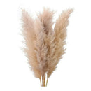 Pack 3 De Pampas Grass Vara Ramas Grande Decoración Beige