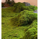Musgo Artificial Degradado Verde Intenso De 1mt X 1mt Decoración Jardines Verticales Terrarios Cuadros Vegetales Paisajismo Interior Diseño Biofílico Manualidades Premium