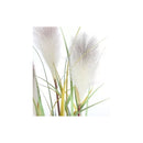 Cola De Zorro Hierba Pampa Artificial Vara Tallo Largo