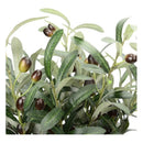 Ramas De Olivo, Plantas Artificiales, Frutas Olivo Flor Verde