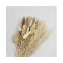 Ramo De Flores Secas Natural Mix Pampas Cola Conejo Limonium Beige