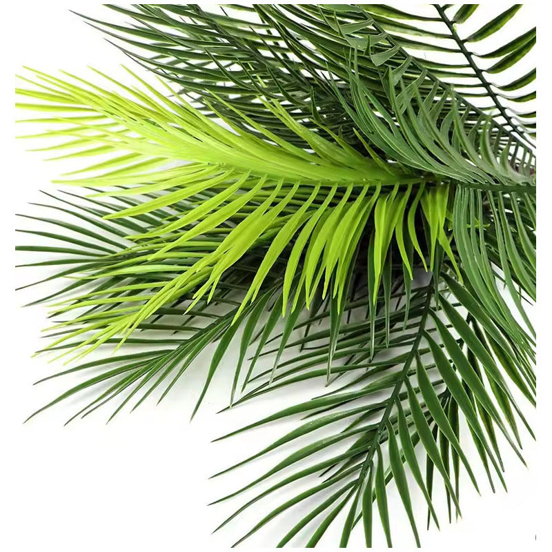 Rama De Palma Tropical Hojas Para Arreglos Decoracion